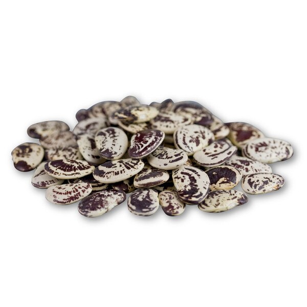 dried christmas lima beans for sale marx foods christmas speckled butter beans