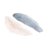 Corvina Fillet-1