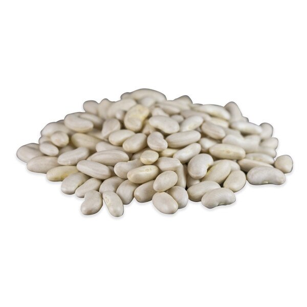 Bulk Dried Cannellini Beans Marx Foods