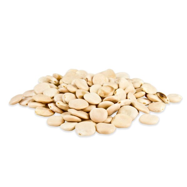 Buy Dried Lupini Beans Wholesale Marx Foods