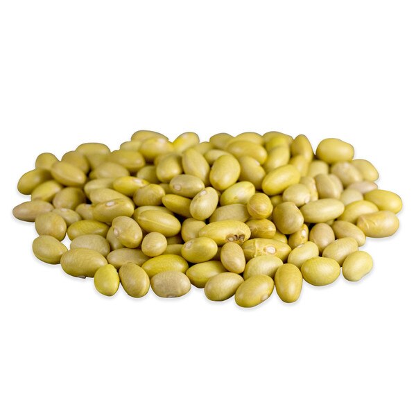 Dried Mayacoba Beans (Canary Beans) Marx Foods