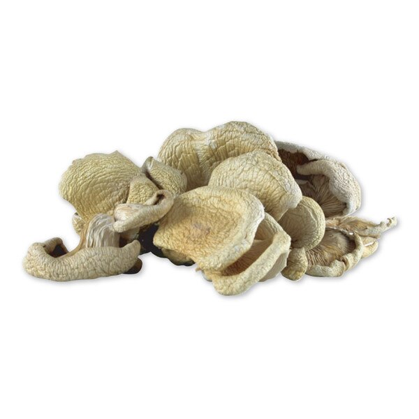 Dried Organic Oyster Mushrooms Marx Foods