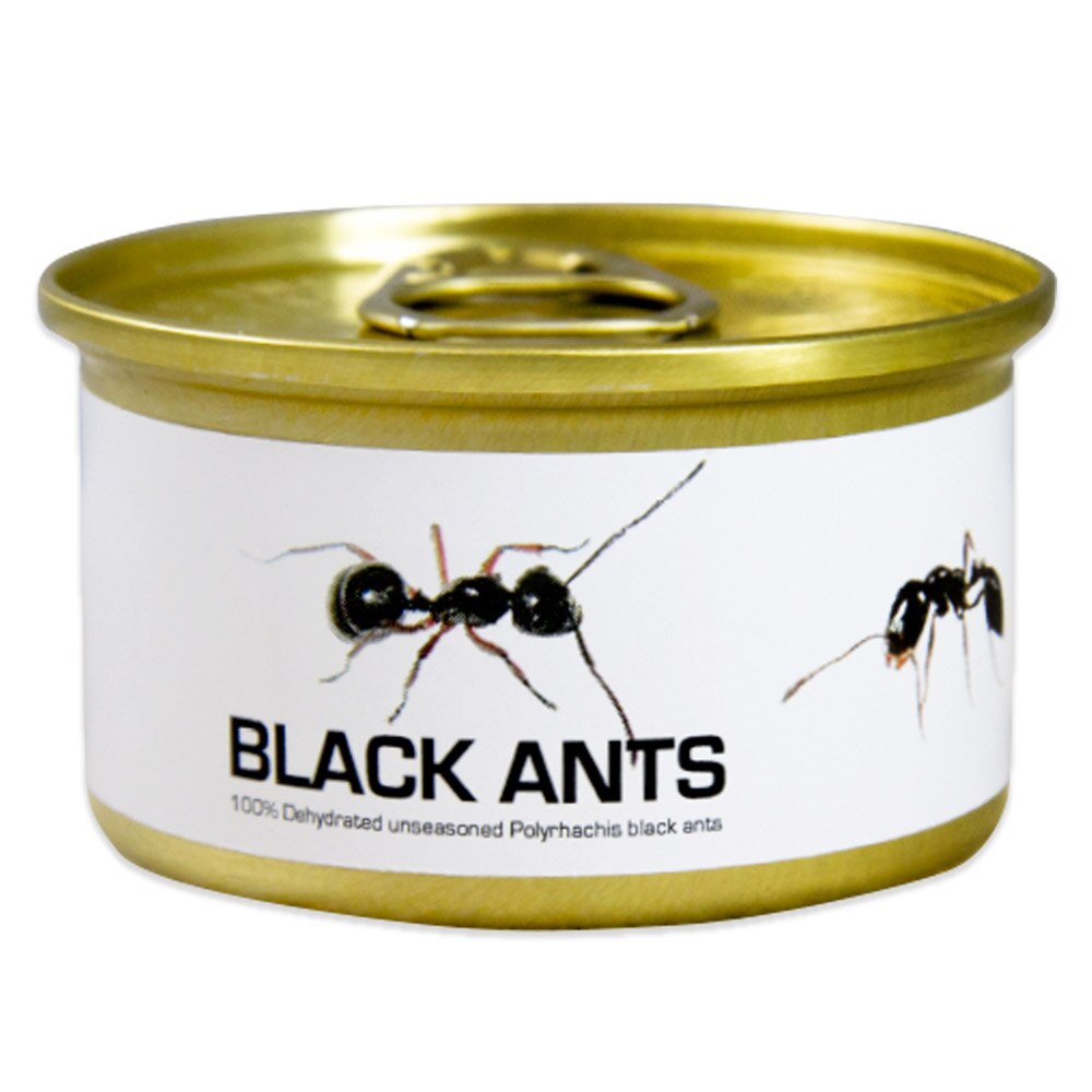 Order Edible Black Ants Online Marx Foods