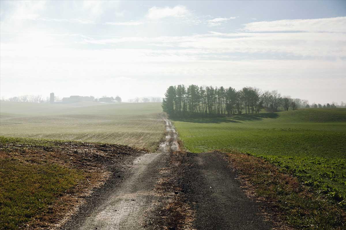 dirt road in field