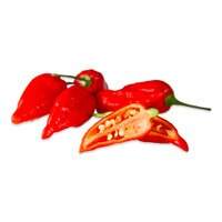 Fresh Ghost Chiles-1