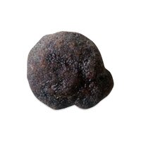 Italian Black Summer Truffles