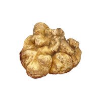 Fresh Italian White Alba Truffles