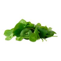 Miner's Lettuce