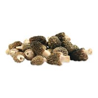 Fresh Wild Morel Mushrooms