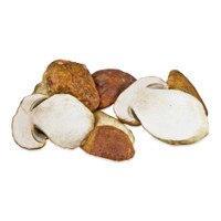 Fresh Wild Porcini Mushrooms