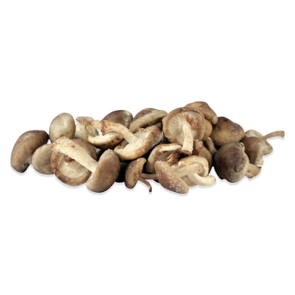Fresh Organic Shiitake Mushrooms - Marx Foods