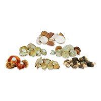 Fresh Wild Mushroom Sampler