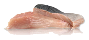 Ivory King Salmon Species