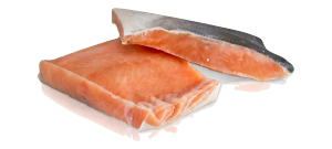 Keta Salmon Species