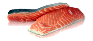 King Salmon Species