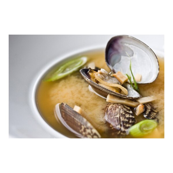 Manila Clams-2