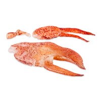 raw Maine lobster claw & knuckle meat