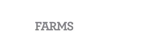 urgasa quail logo