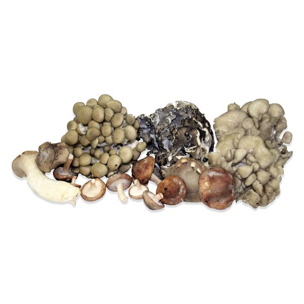 Fresh Organic Mushroom Sampler - several different kinds of brown, gray & white mushrooms