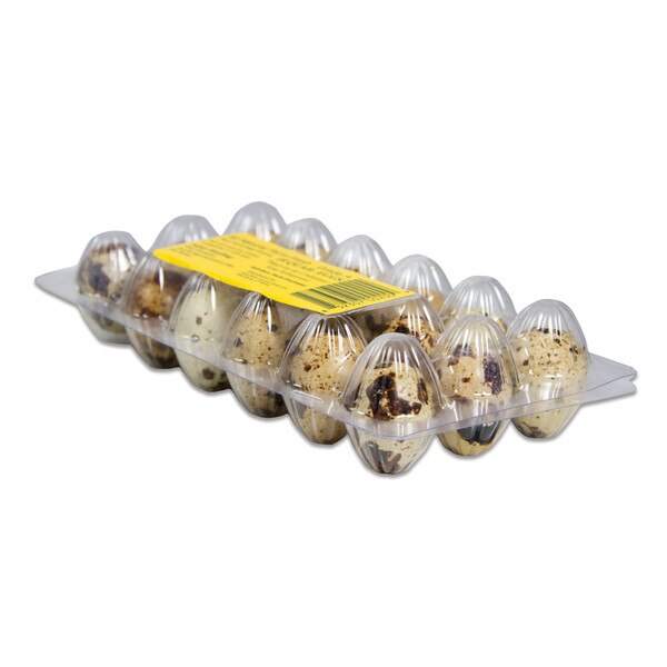 Quail Eggs Order Wholesale Quail Eggs Marx Foods
