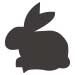 rabbit icon charcoal