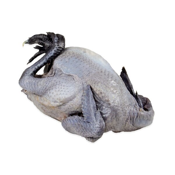 uncooked black silkie chicken