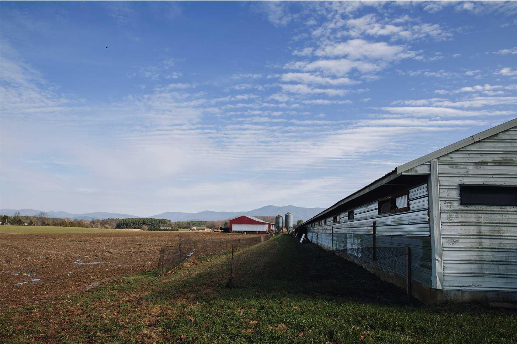 chicken house blue sky