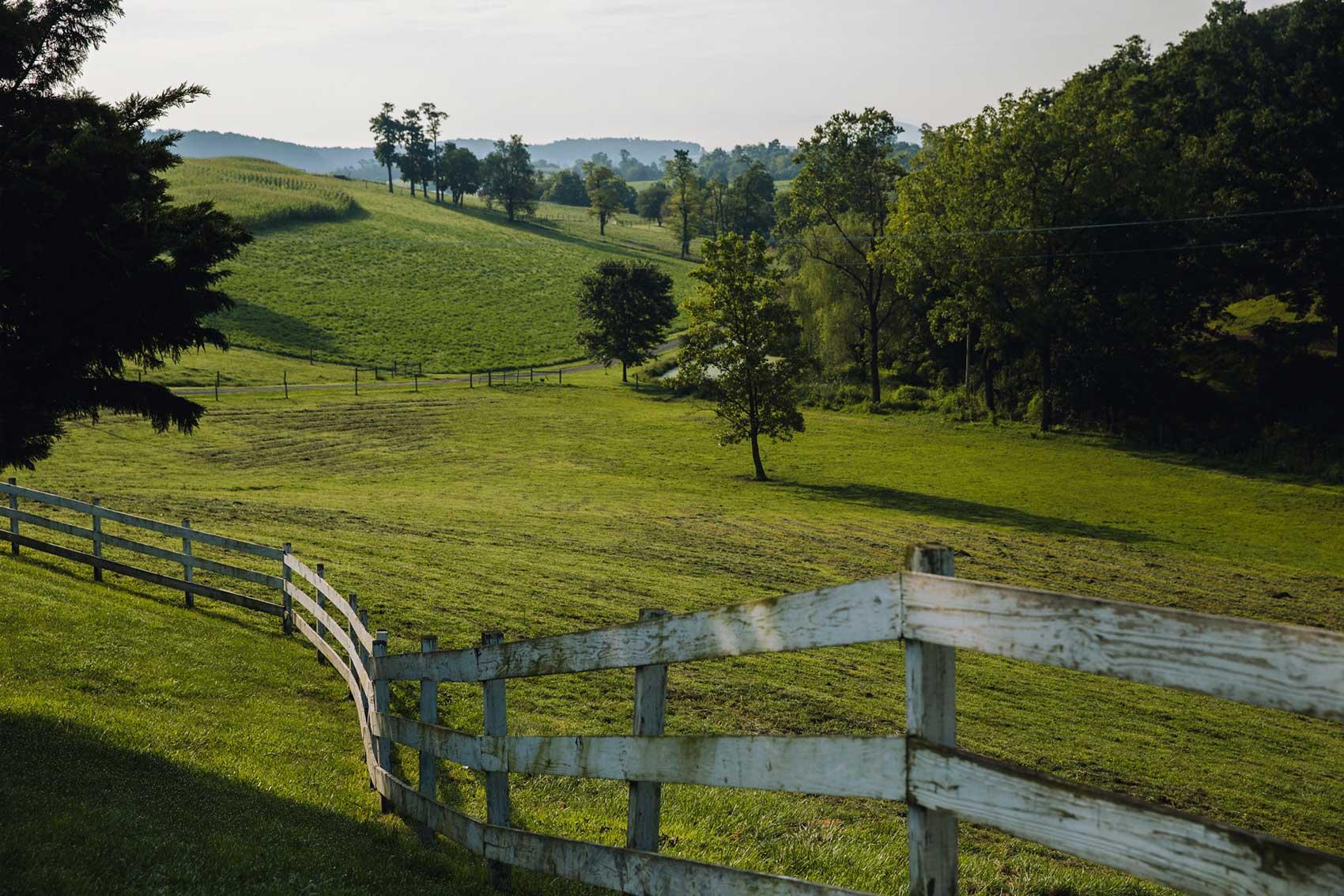 hills and white fence