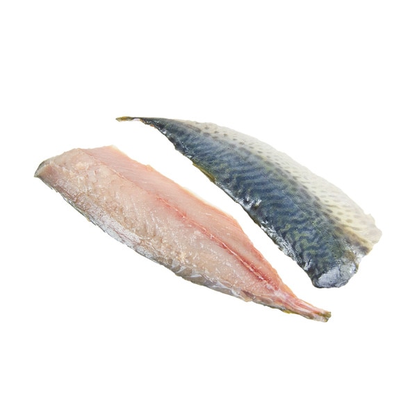 Mackerel Fillet | Marx Foods