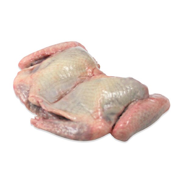 Partially Boned Squab