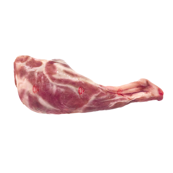 Raw suckling lamb hind leg on white background