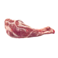 Raw suckling lamb hind leg on white background