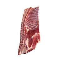 Raw whole loin of suckling lamb on white background