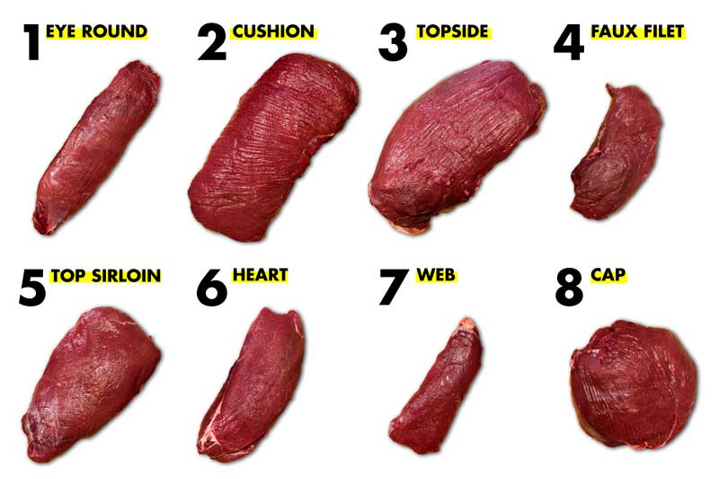venison meat diagram