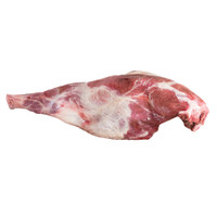 Raw wild boar bone-in leg on white background